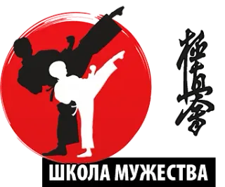 Баннер компании Школа Мужества